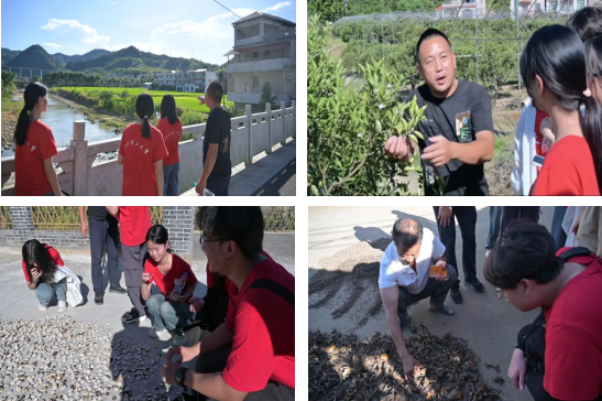 直播性爱-成人性爱直播-欧美性爱直播
:深入走访调研 青春力量助力乡村振兴_fororder_图片6